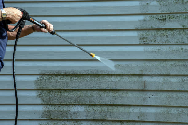 Animal Enclosure Cleaning in Browns Point, WA